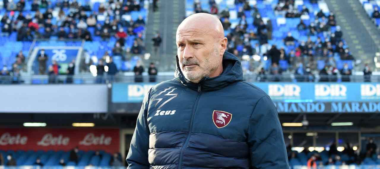 salernitana colantuono napoli